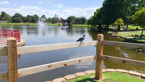 Chisholm Park