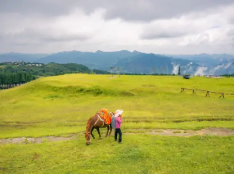 สวนป่าหยกเช่