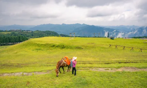 Yushe Forest Park