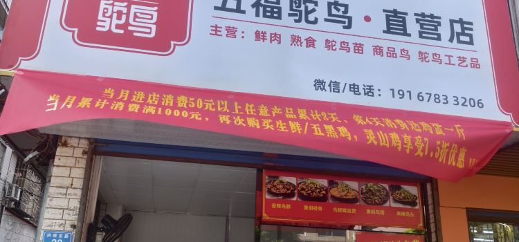 五福鸵鸟直营店