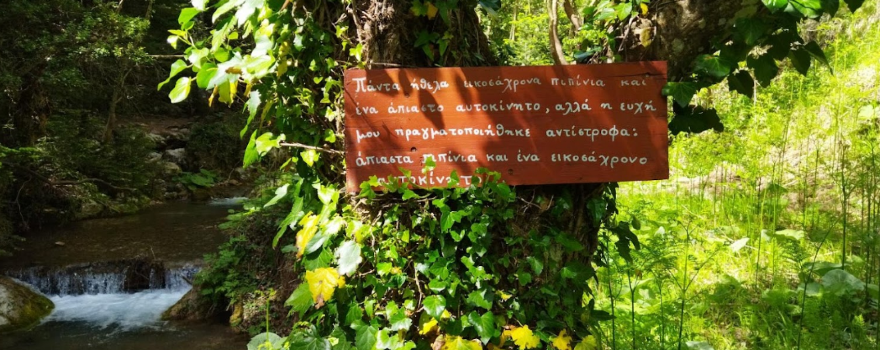 Pavliani Park