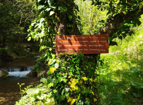 Pavliani Park