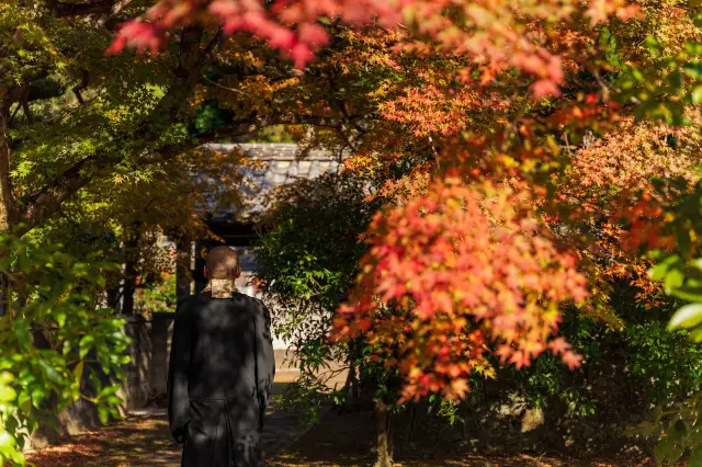 Zen Meditation Experiences in Kyoto
