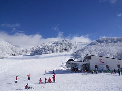 Zao Liza World