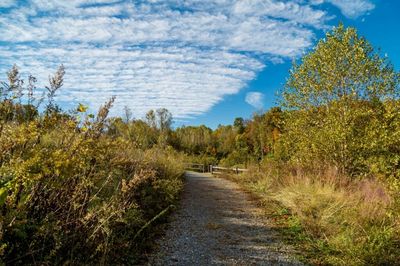 Ivy Creek Park