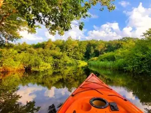 Martin Stream Campground