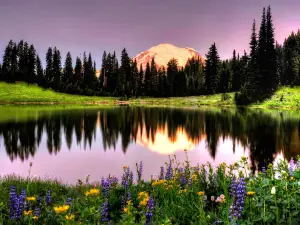 Reflection Lake