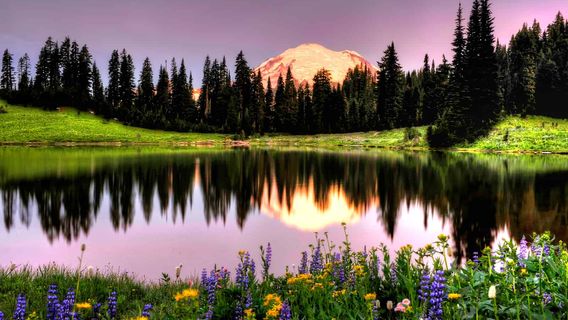 Reflection Lake