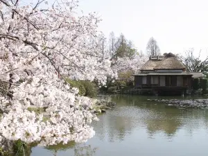 神野公園
