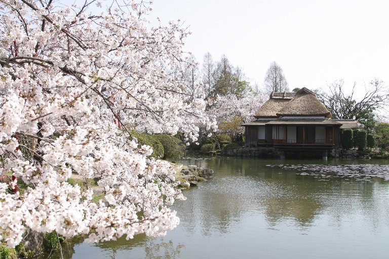 Kouno park