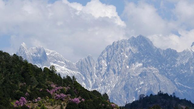 xi lian pen ya kou du juan hua hai