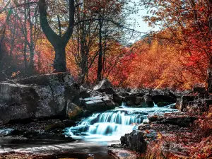 Popular Water Fun Attractions in Huanren