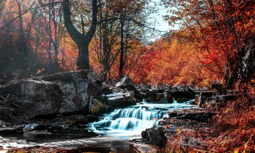 Fenglingu Forest Park