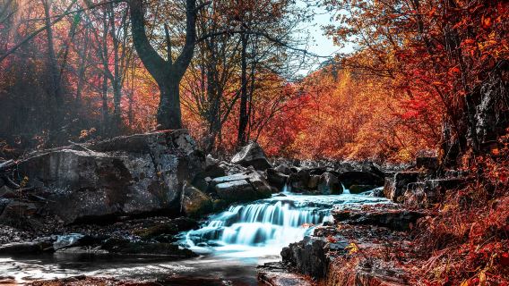 Fenglingu Forest Park