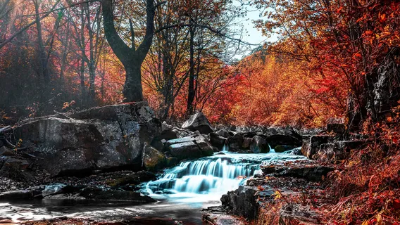 펑린구 삼림공원
