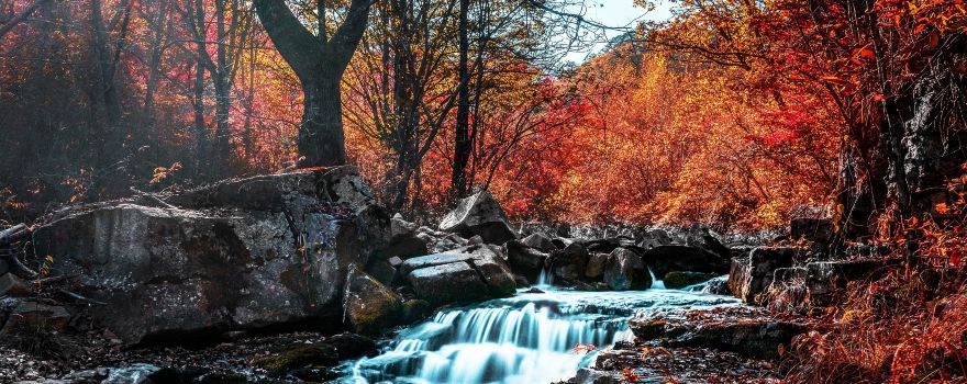 Fenglingu Forest Park