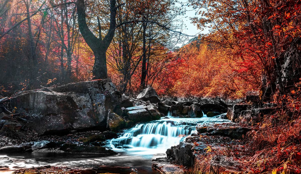 Fenglingu Forest Park