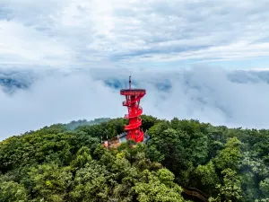 Zhuque Mountain Forest Park