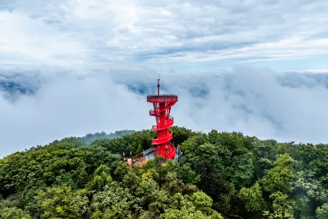 Zhuque Mountain Forest Park