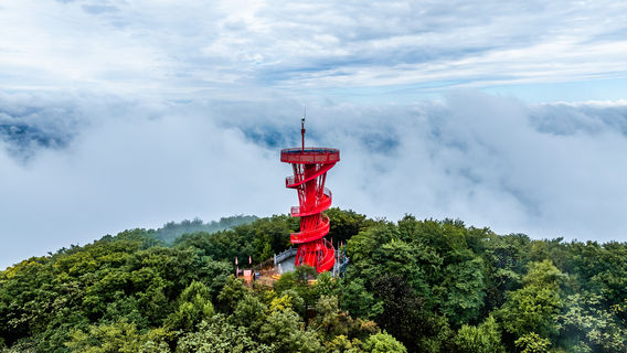 สวนป่าภูเขาจูไค