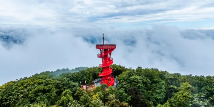 朱雀山國家森林公園