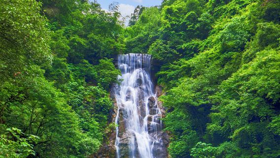 Туристический пейзаж Ван Цуй