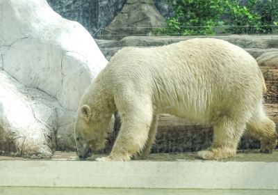 Zoo Sosto