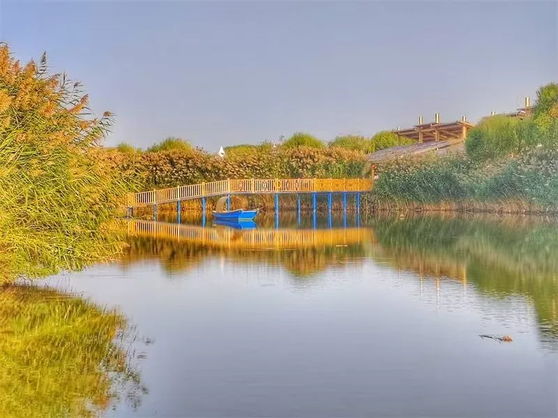 허숴의 인기 가을 경치