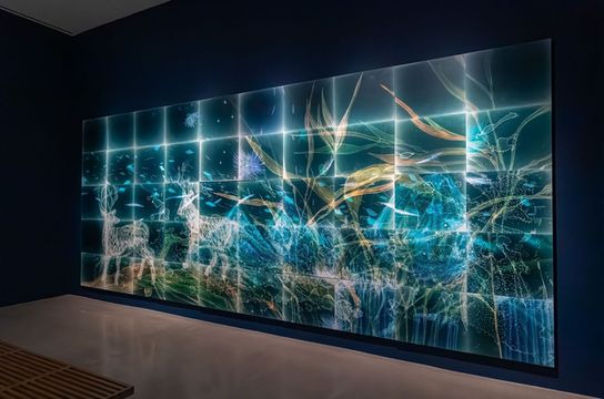 Christine Nguyen: Emergence of the Kelp Deer | Carolyn Campagna Kleefeld Contemporary Art Museum