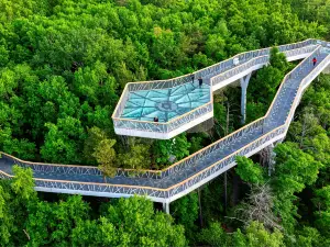 美人松空中廊橋公園
