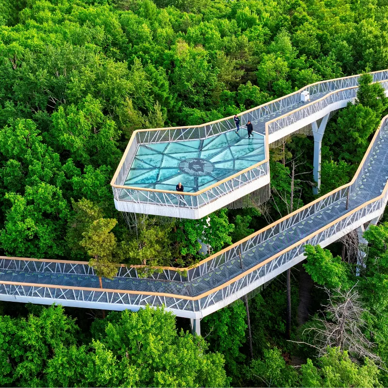 美人松空中廊橋公園