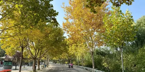 石家莊市動物園