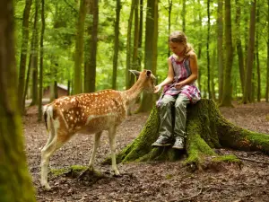 Wildparadies Tripsdrill