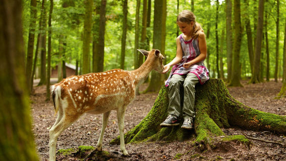 Wildparadies Tripsdrill