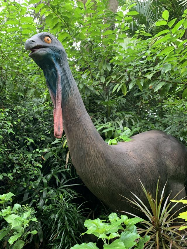 Singapore Zoo