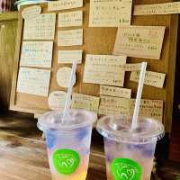 【屋久島】tamacafe