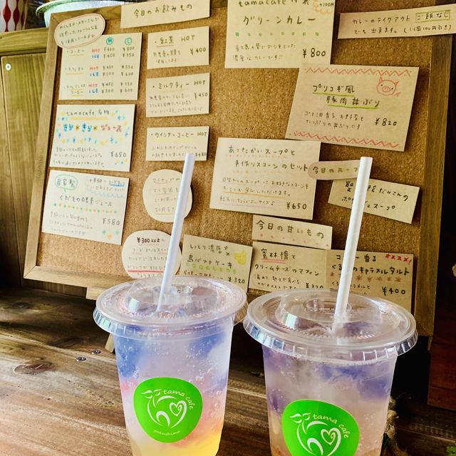 【屋久島】tamacafe