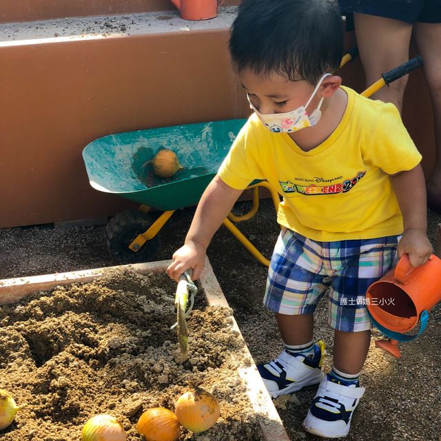 《小農夫後花園種植場》