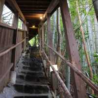湯巡り手形で温泉巡り"黒川温泉"﻿