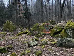 Linesville Park Disc Golf Course