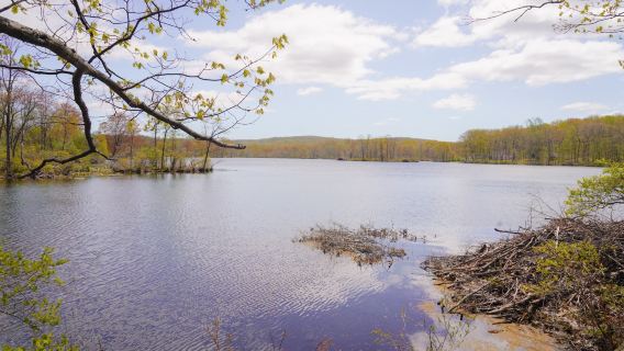 Allamuchy Mountain State Park