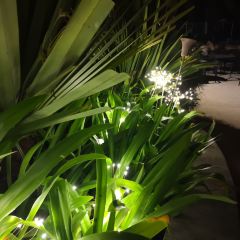 Tikki lounge and bar User Photo