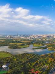 Парк водно-болотных угодий в озере Цинлунг