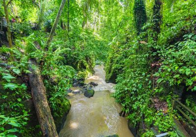 Сайт-Шуан На, Национальный парк тропических лесов, ландшафтный район