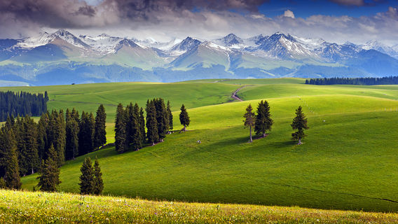 Kalajun National Park