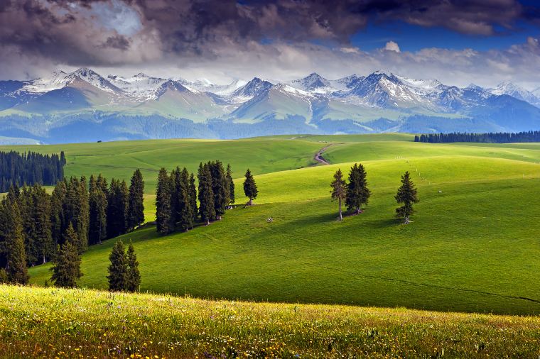 xinjiang