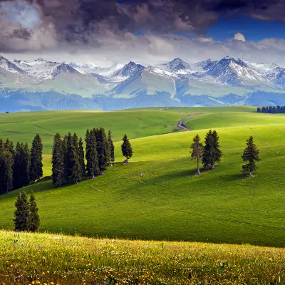 Pet-friendly Hotels in Tekes