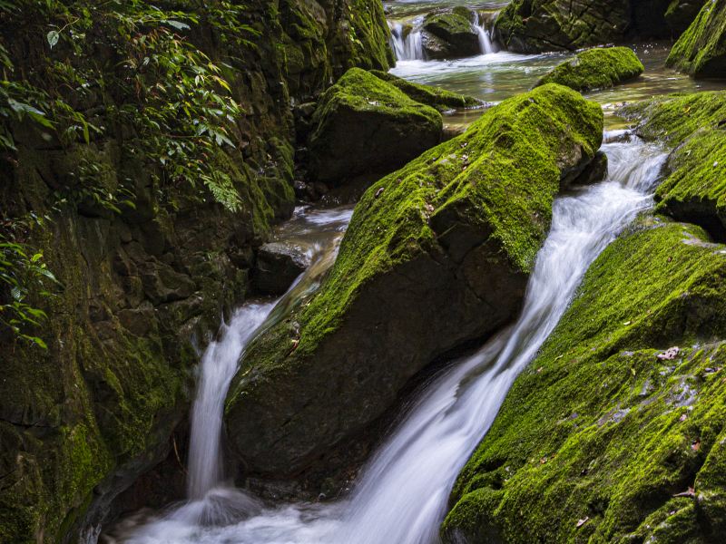 Wulong Tiankeng Land Slot National Geological Park