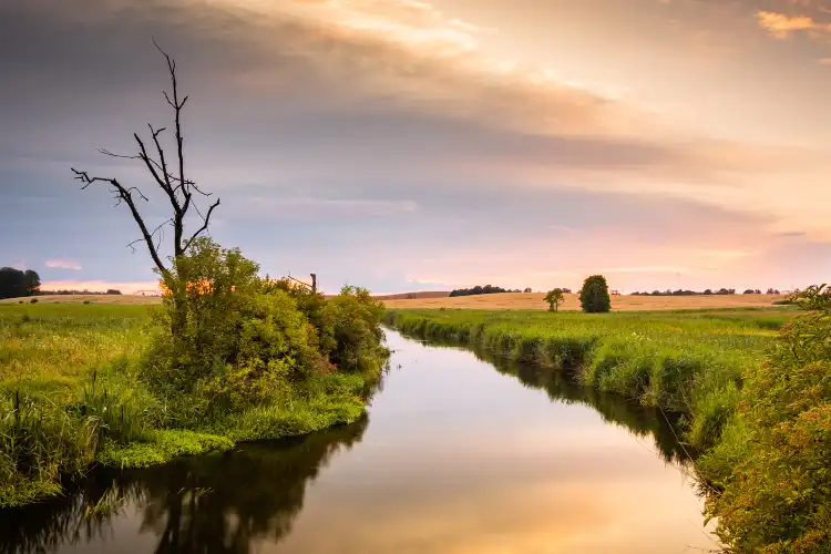 Hotels near Katedra Łąkarstwa I Urządzania Terenów Zieleni