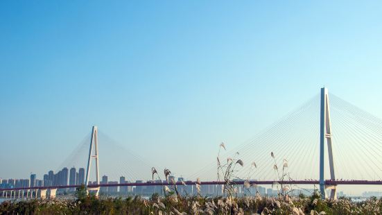 Haikou Chengshi Zhongyang Park